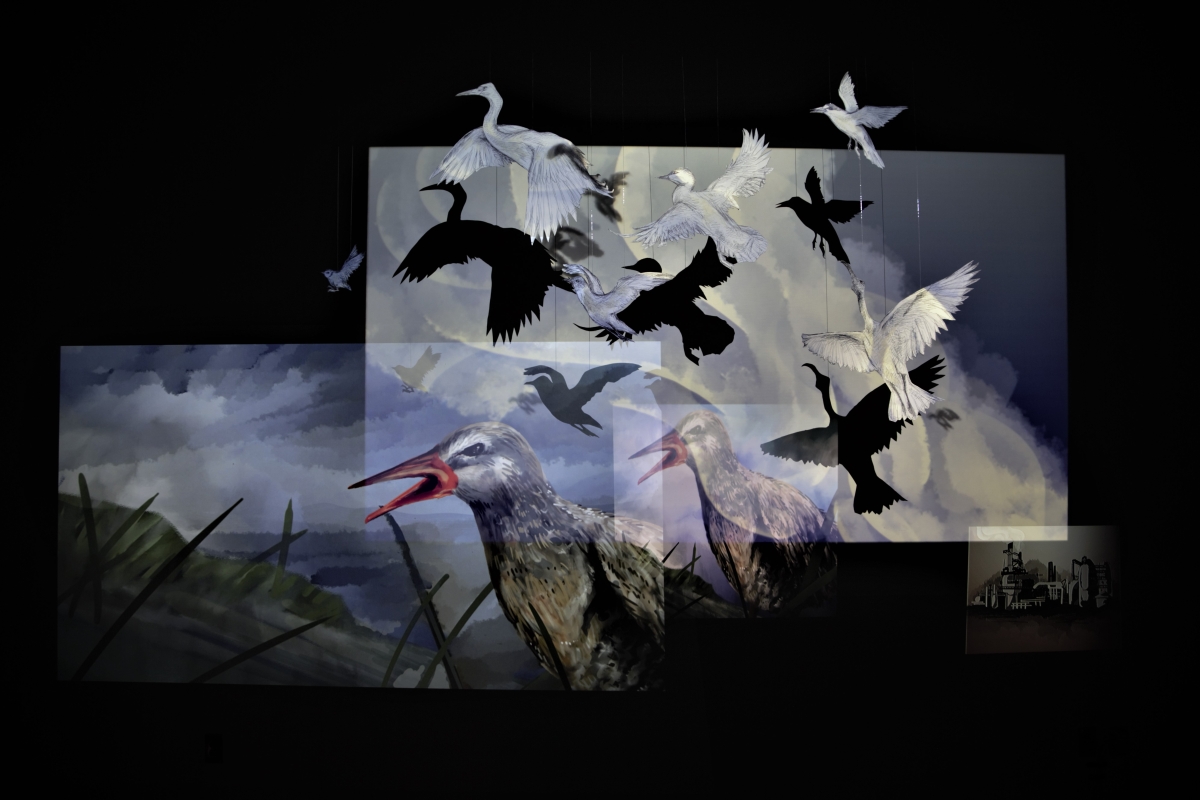 Several images of seabirds are layered in projection and shadow. To the bottom left, a digital painting of the Clapper Rail bird is superimposed over a smaller projection of the same. Several images of the bird in flight appear as cutouts, casting their shadows onto the projection. Diaphanous clouds appear behind the shadows of the cutouts, overlapping with the two bird projections. To the bottom right, a smaller, faint projection of a factory appears. The words, “Take Flight. Shelby Lawton, 2022. Installation documentation. Image courtesy of the artist.” Are in the bottom right corner in a serif font, light on a black background.